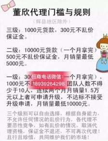 央視曝光董欣品牌引發(fā)關(guān)注，解析其官方代理招募模式與市場(chǎng)營(yíng)銷(xiāo)策略